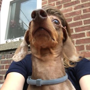 Meet your Posher, Melinda